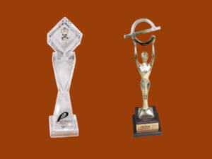 Awards won by NIEPA (UDISE)