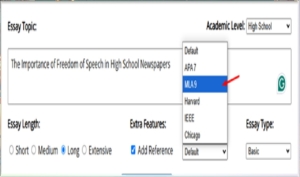 AI Essay Generator7